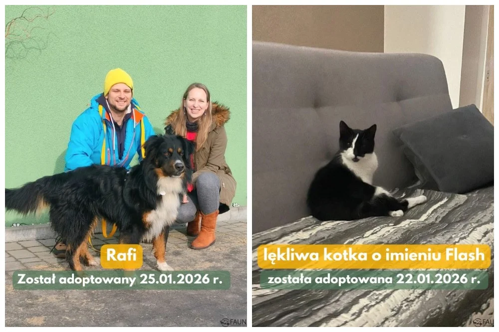 21 podopiecznych „Fauny” w nowych domach!