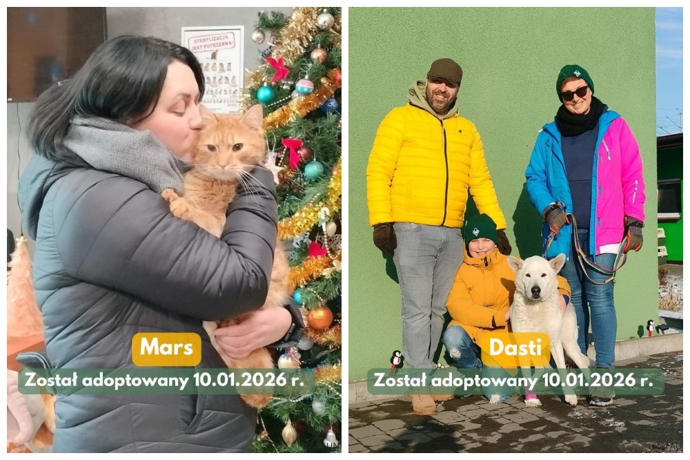 Tydzień cudów w „Faunie”! Tylu adopcji nie było od dawna!