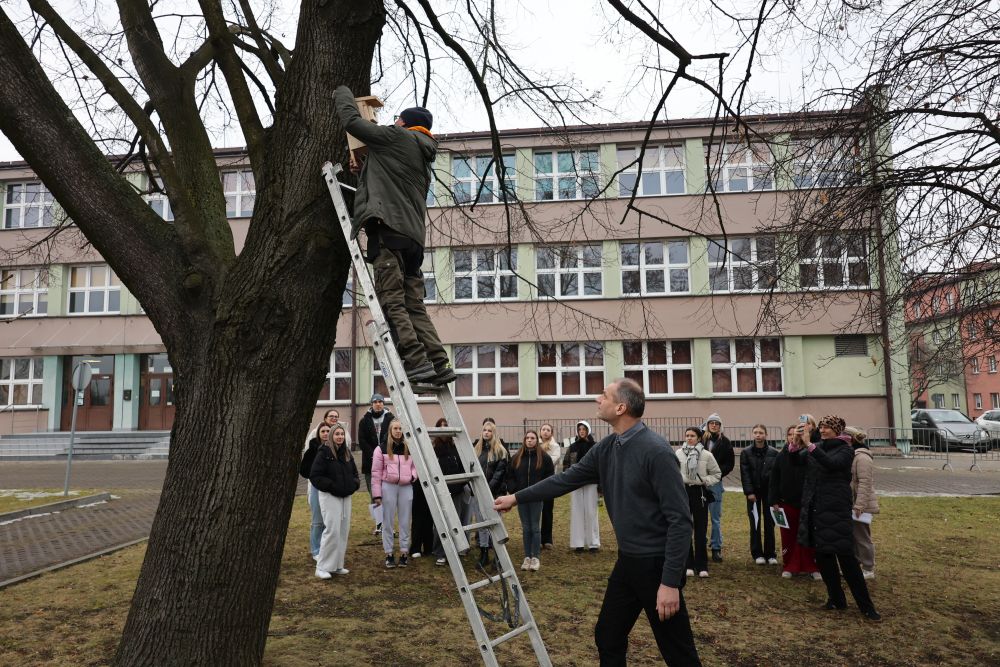 budki-skrzydlate-piekary_4