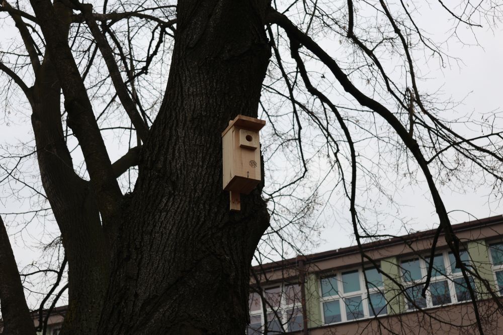 budki-skrzydlate-piekary_5