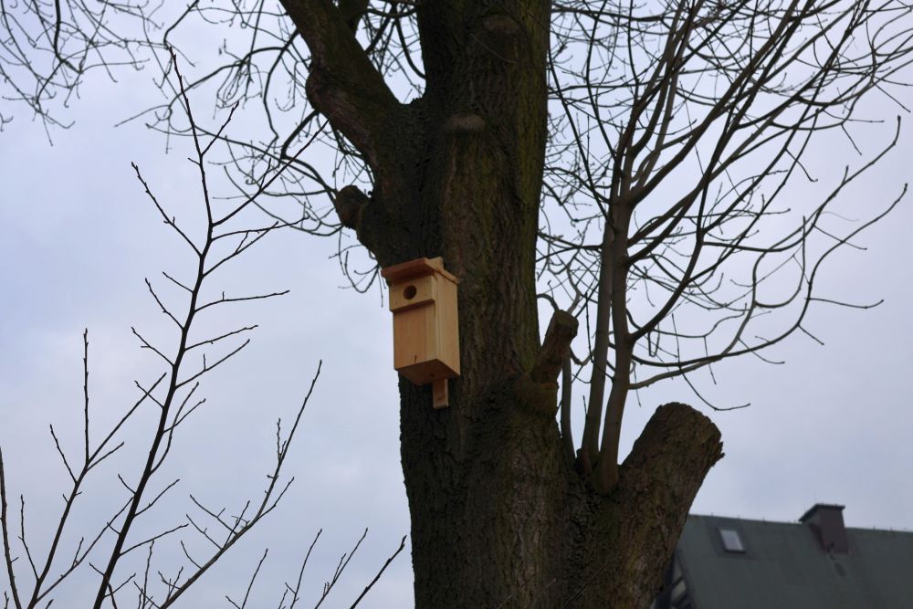 budki-skrzydlate-piekary_7