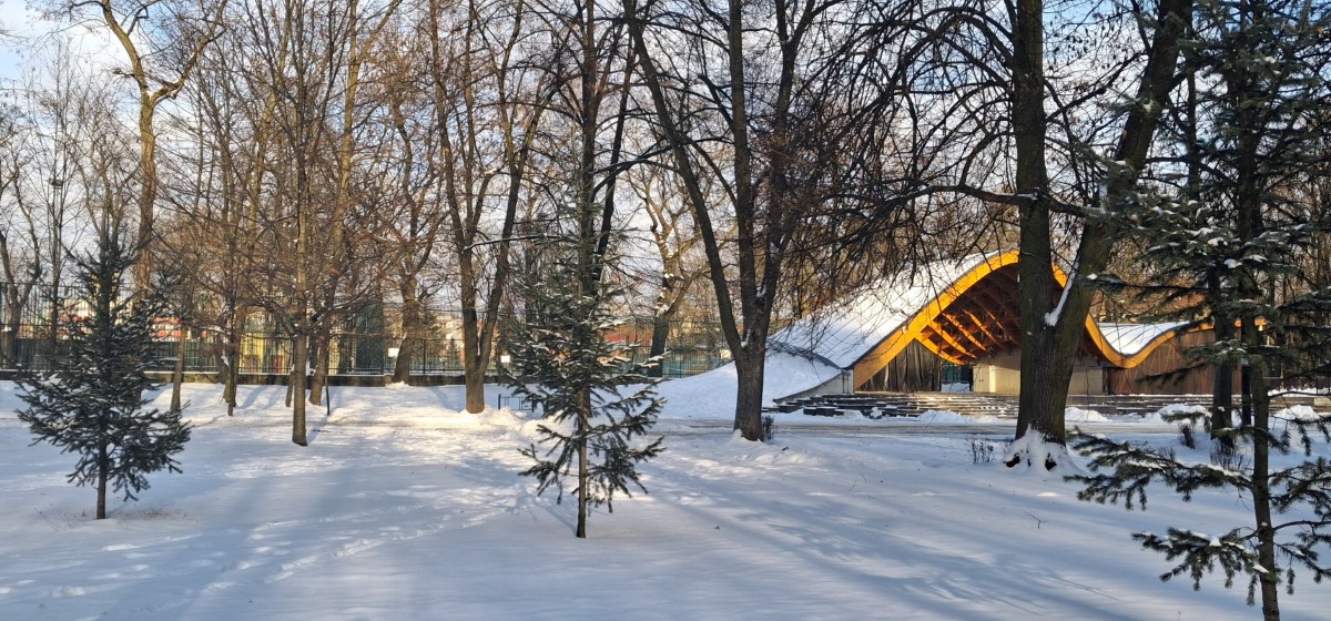 Daj choince drugie życie! Trwa ósma edycja proekologicznej akcji