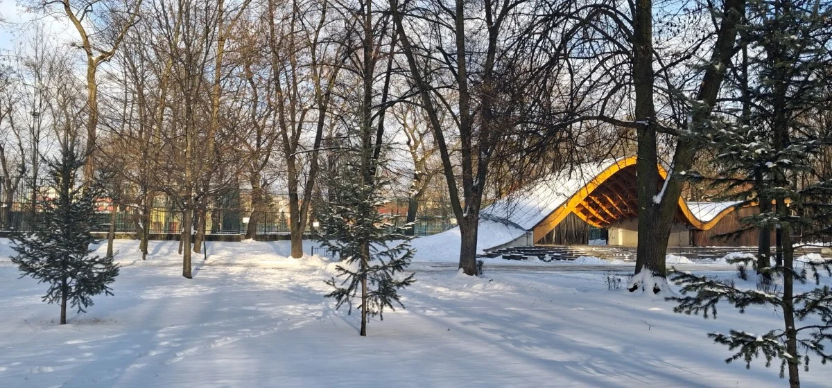 Daj choince drugie życie! Trwa ósma edycja proekologicznej akcji
