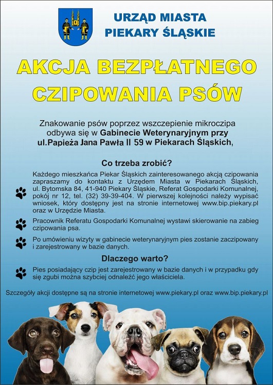 Czipowanie psów w Piekarach Śląskich – akcja trwa do końca tego roku! / fot UM Piekary Śląskie