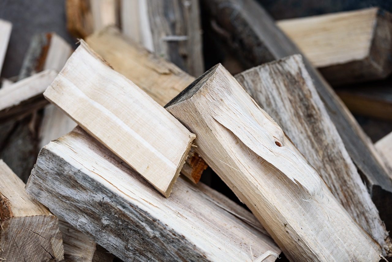 Nielegalne wycinki drzew w Świętochłowicach. Miasto apeluje o szybką reakcję