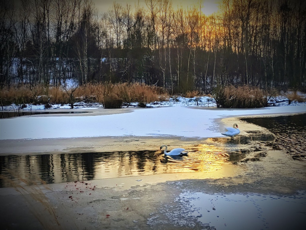 Zimowe oblicze Rudy Śląskiej – wspomnienia z białych dni