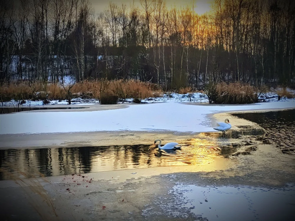 Zimowe oblicze Rudy Śląskiej – wspomnienia z białych dni