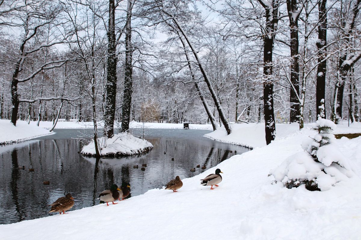 Rusza budowa zielono-niebieskiej tarczy miasta przed skutkami zmian klimatu. Od dzisiaj prace w Parku Szwajcaria