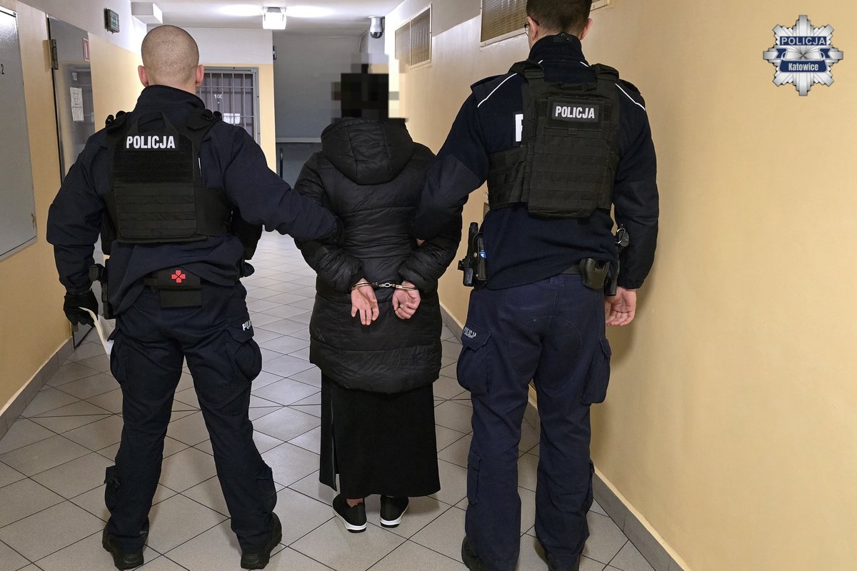 Seria kradzieży w centrum handlowym przy al. Roździeńskiego w Katowicach. Trzy osoby z zarzutami