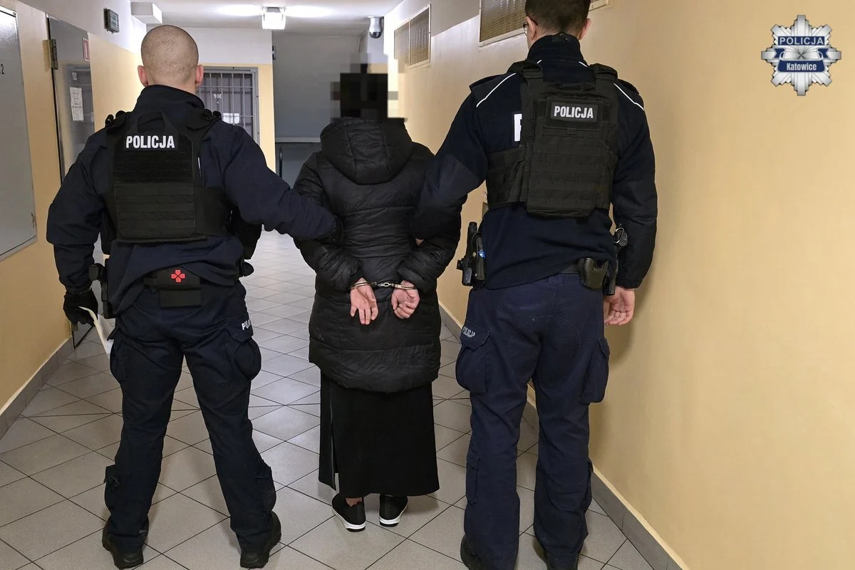 Seria kradzieży w centrum handlowym przy al. Roździeńskiego w Katowicach. Trzy osoby z zarzutami