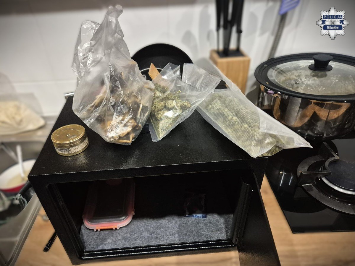 Kolejne zatrzymanie pseudokibica. 22-latek posiadał marihuanę i grzyby halucynogenne