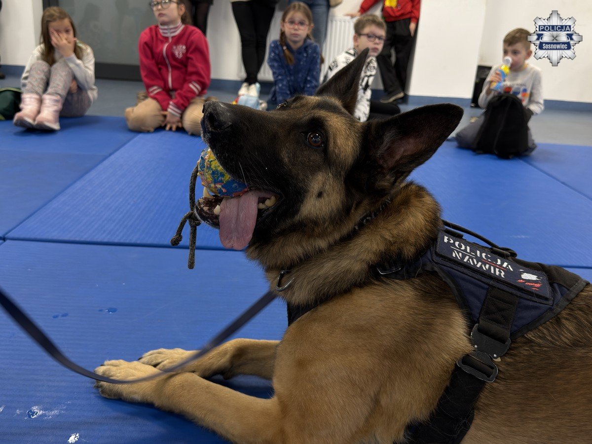 Dzieci z pieczy zastępczej odwiedziły komendę Policji w Sosnowcu / fot. KMP Sosnowiec