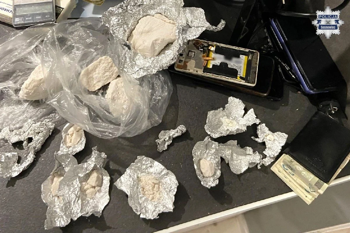 Nocny spacer w piżamie zakończony zatrzymaniem 21-latka. Interwencja przy ul. Staropogońskiej w Sosnowcu