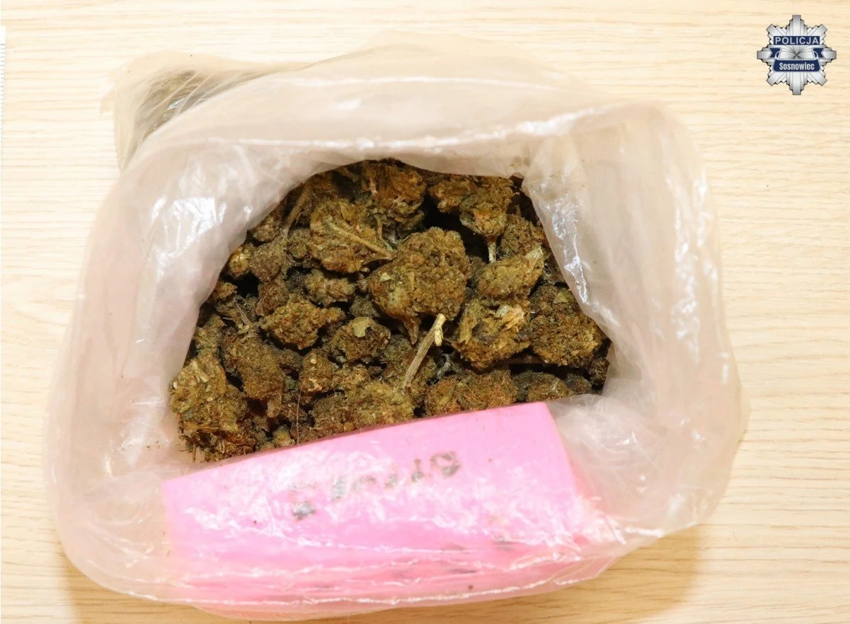 Sosnowiec: zgłosił kradzież, trafił do aresztu. Policja ujawniła groźby i narkotyki