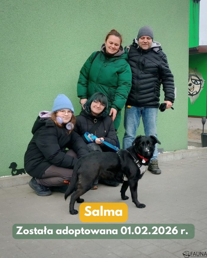 626790359_17998192439890048_8233192386823224989_n