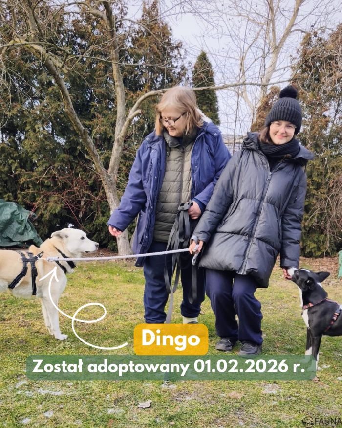 626794846_17998192430890048_5062615265401718369_n