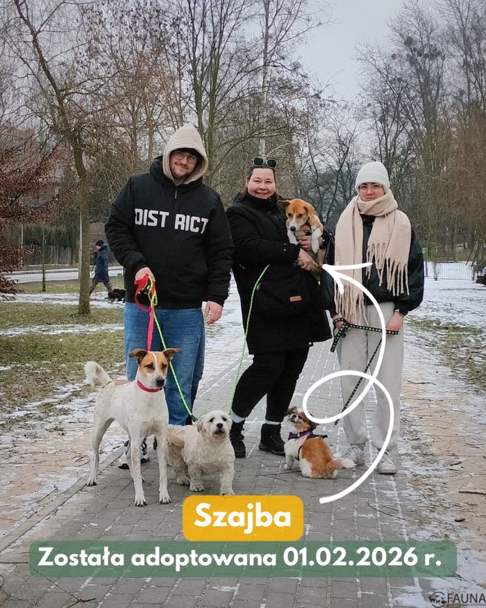 626851842_17998192421890048_9151390924580074733_n