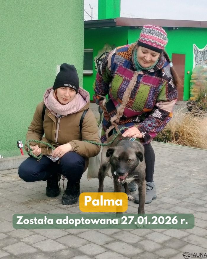 626940344_17998192385890048_5082242616642266214_n