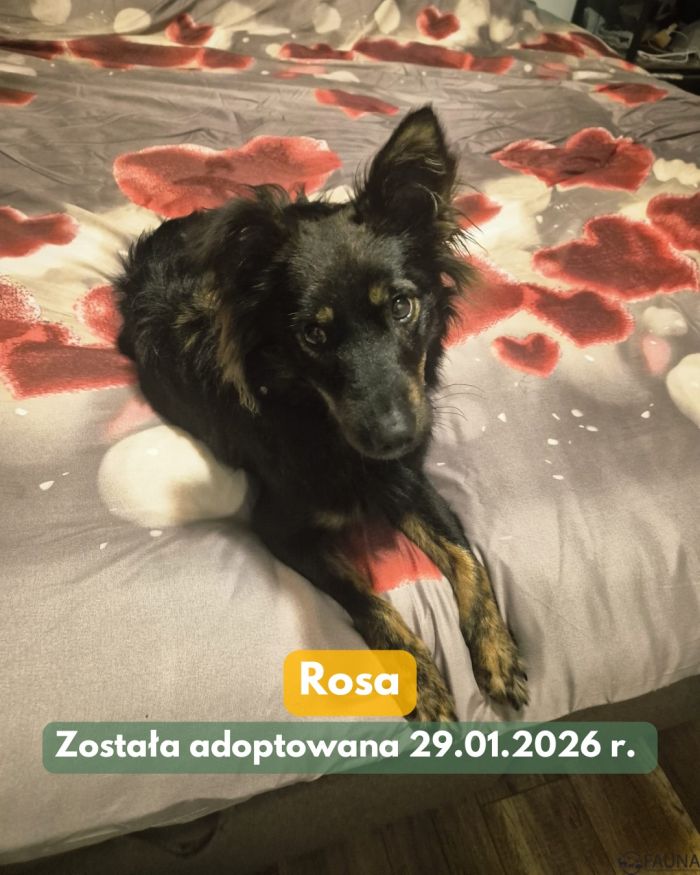 627056761_17998192376890048_7813792246938010671_n