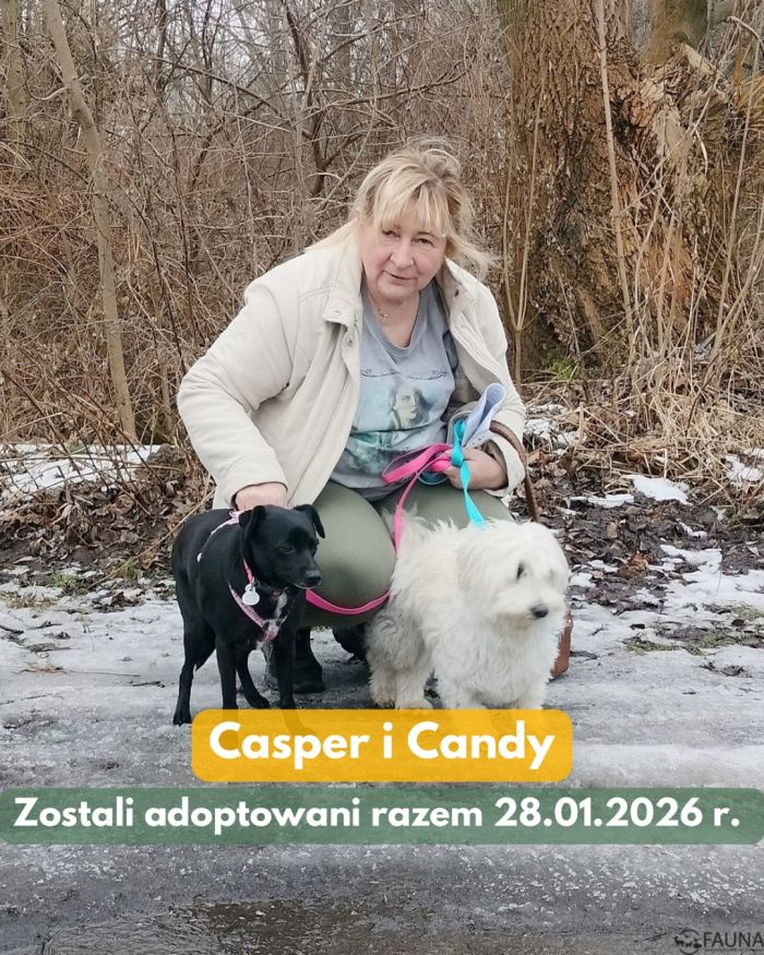 627121955_17998192367890048_8671970800674140857_n