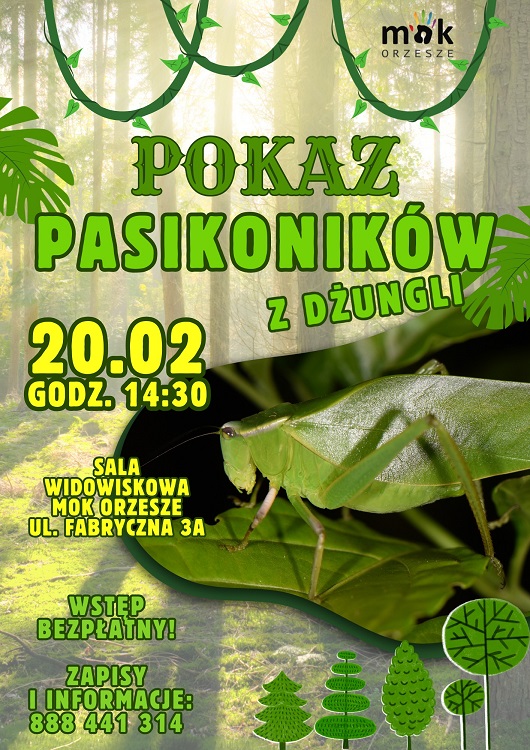 Egzotyczne owady z bliska. Pokaz pasikoników w Miejskim Ośrodku Kultury / fot, MOK Orzesze