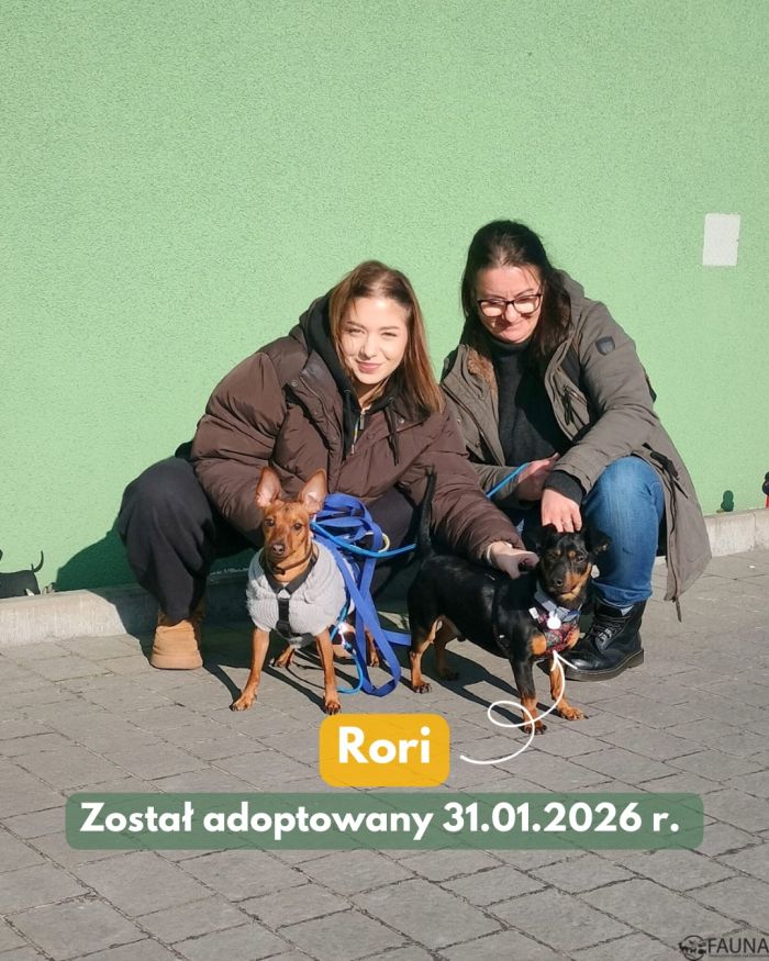 627525950_17998192403890048_3058261510970367728_n