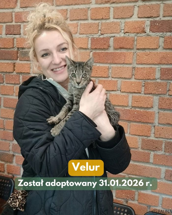 627559338_17998192400890048_1879199497196040885_n