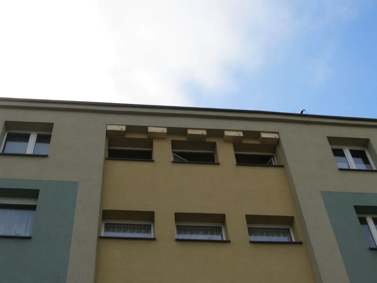 Bytom wznawia akcję rozdawania budek dla jerzyków