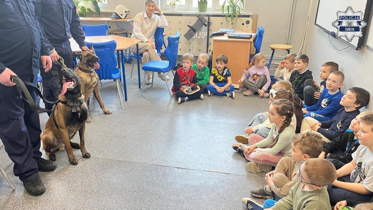 „Dzielnicowi z Zabrza w szkołach przed feriami / fot. KMP Zabrze