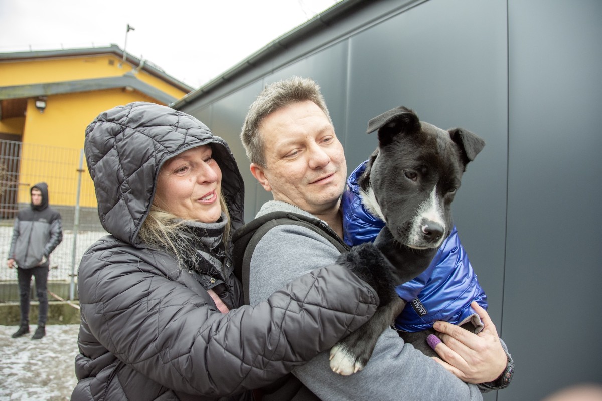 Ze schroniska do kochającego domu. W Bytomiu ruszyły adopcje!
