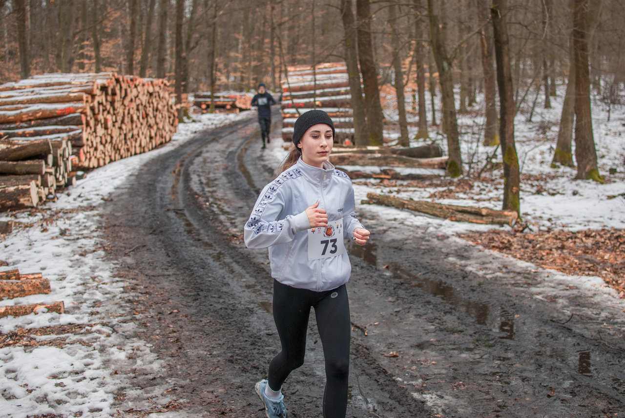 Bieg dzika luty 2026 mojekatowice (108)