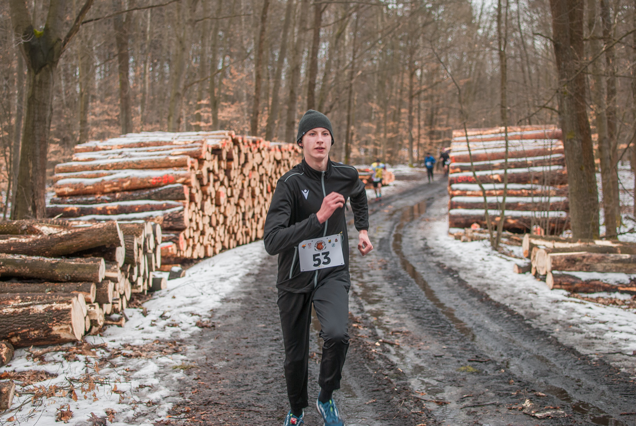 Bieg dzika luty 2026 mojekatowice (118)