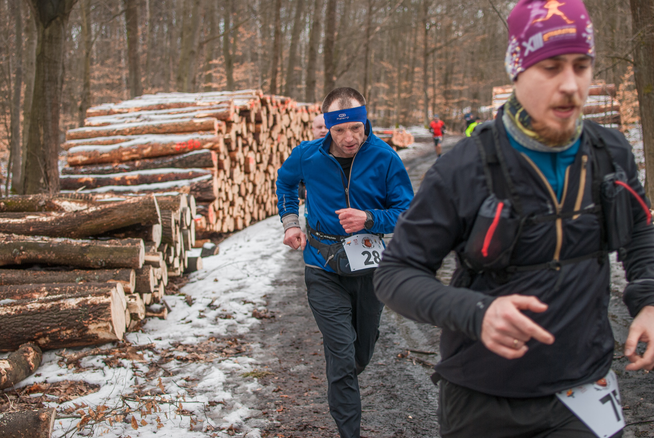 Bieg dzika luty 2026 mojekatowice (123)