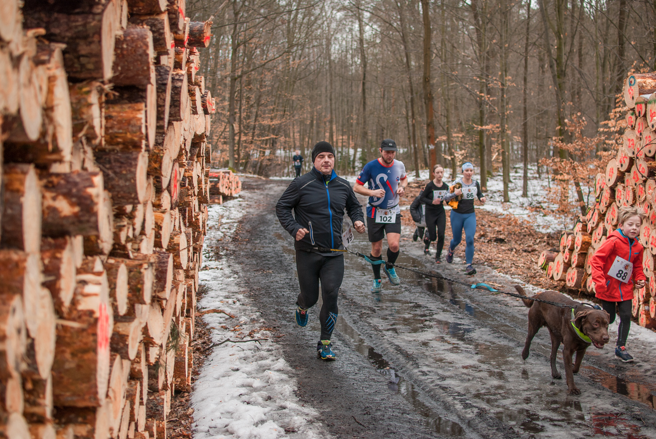 Bieg dzika luty 2026 mojekatowice (135)