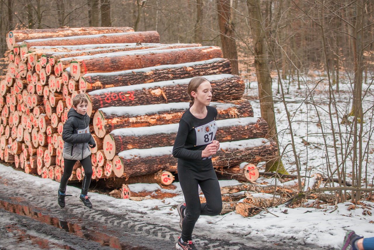 Bieg dzika luty 2026 mojekatowice (139)