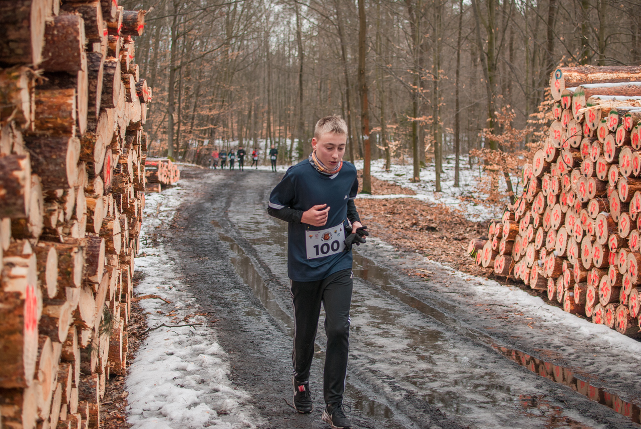Bieg dzika luty 2026 mojekatowice (141)