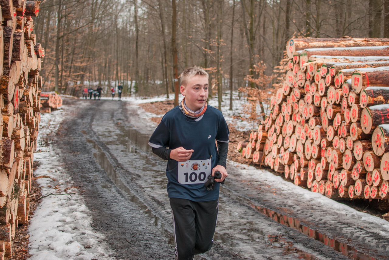 Bieg dzika luty 2026 mojekatowice (142)