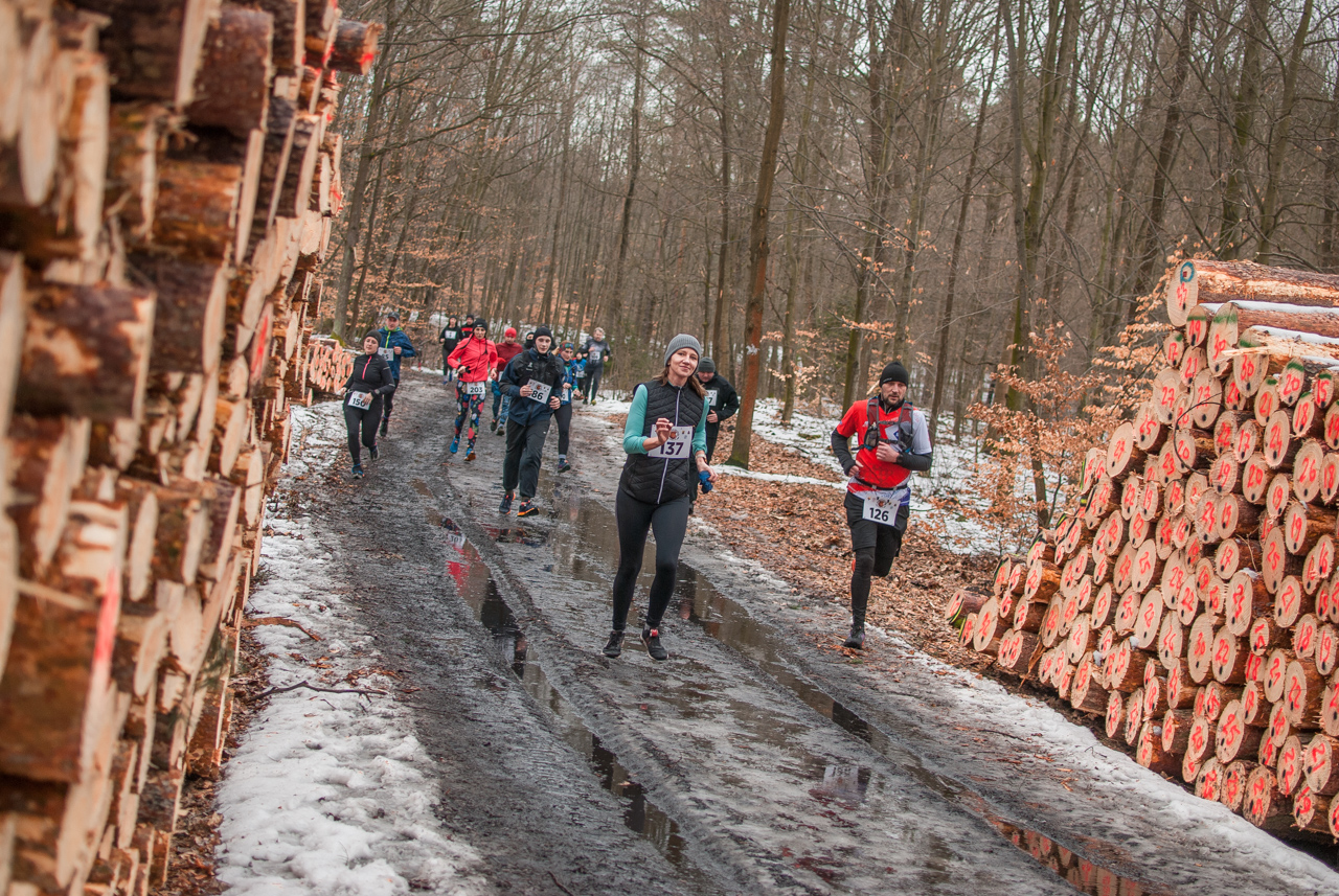 Bieg dzika luty 2026 mojekatowice (145)