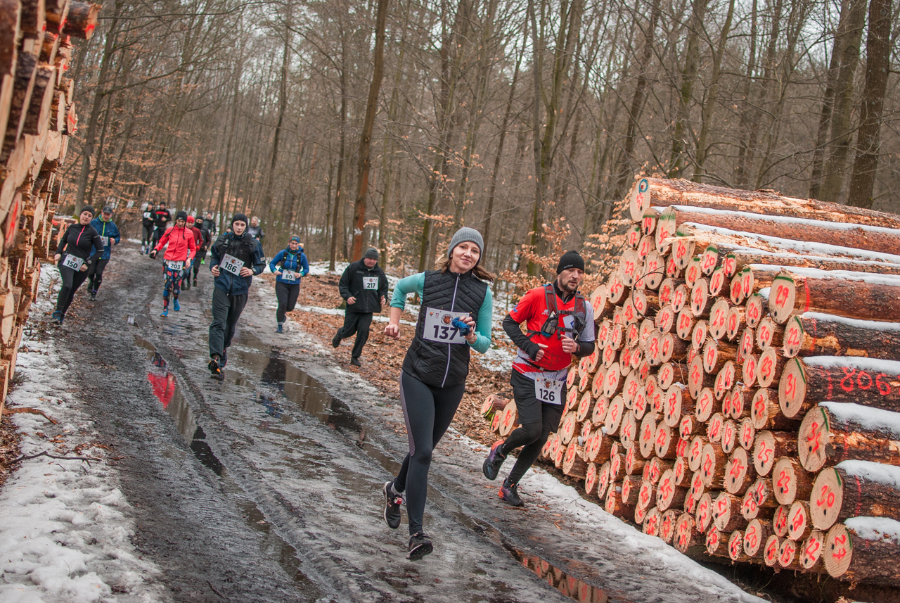 Bieg dzika luty 2026 mojekatowice (146)