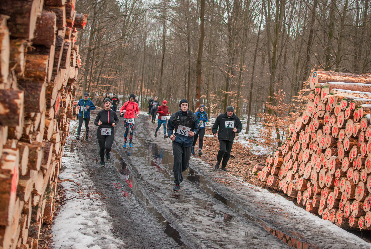 Bieg dzika luty 2026 mojekatowice (147)