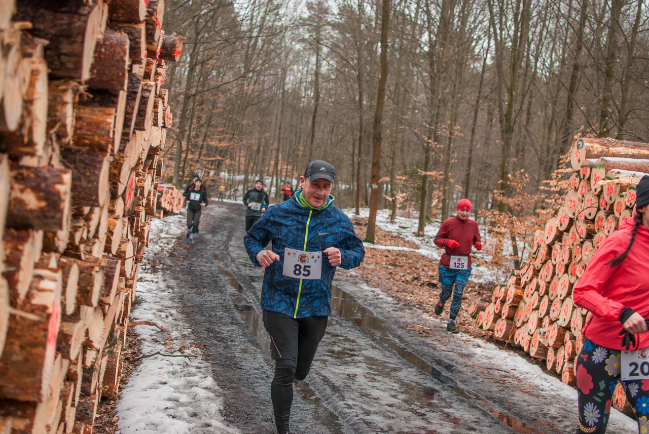 Bieg dzika luty 2026 mojekatowice (150)