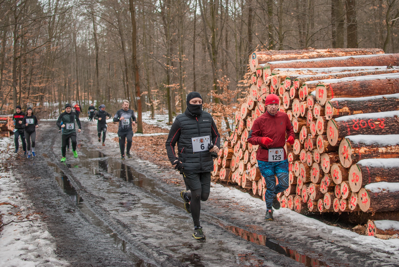 Bieg dzika luty 2026 mojekatowice (151)