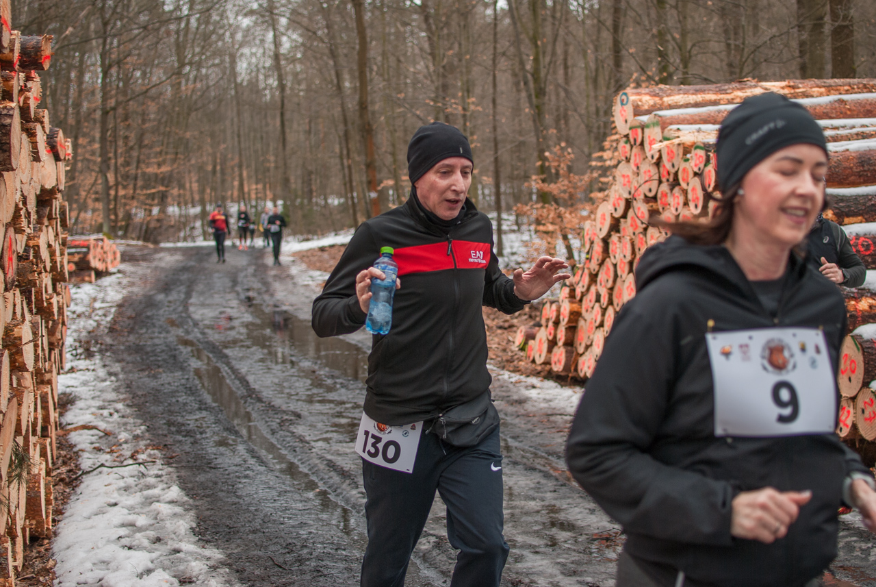 Bieg dzika luty 2026 mojekatowice (154)