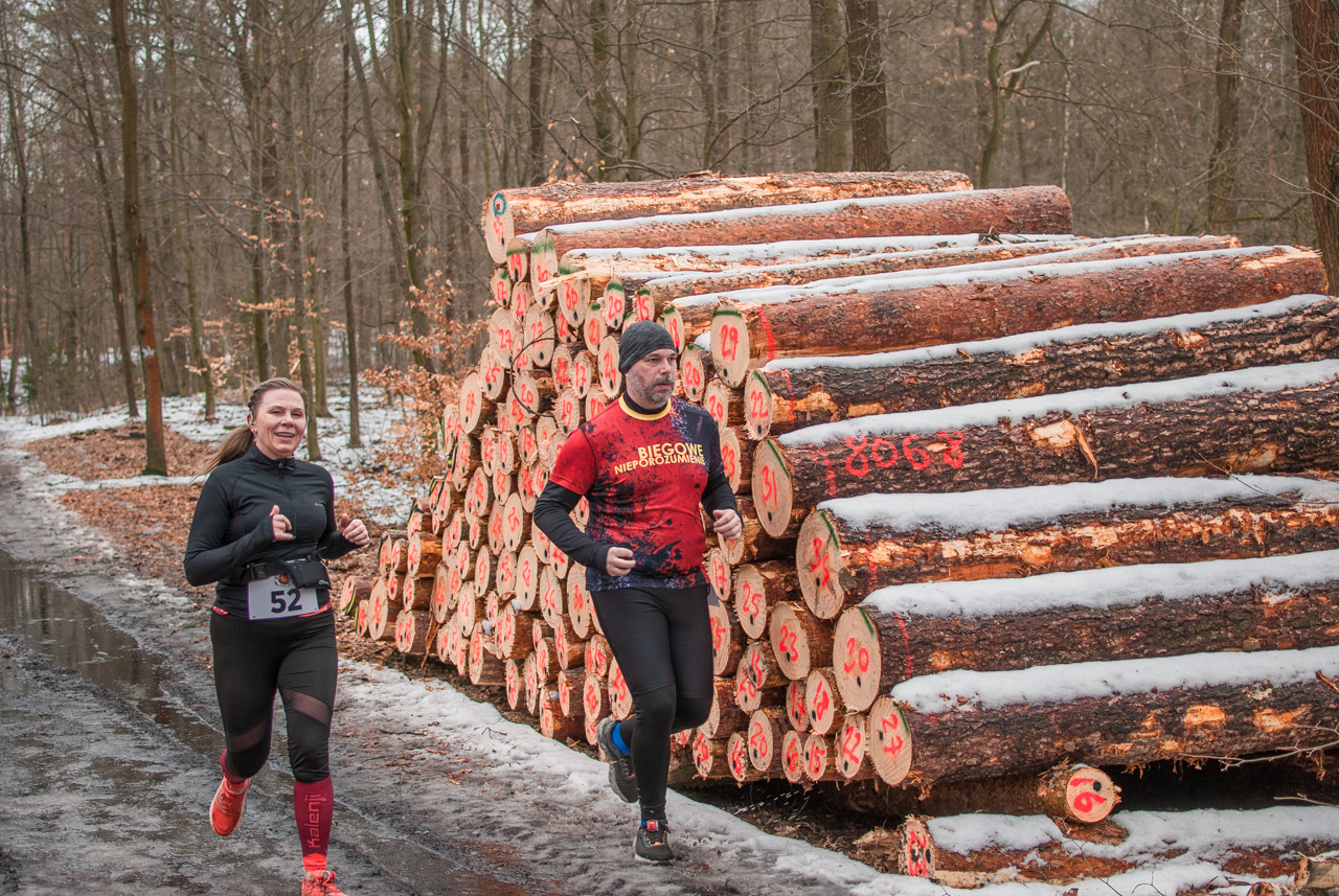 Bieg dzika luty 2026 mojekatowice (157)