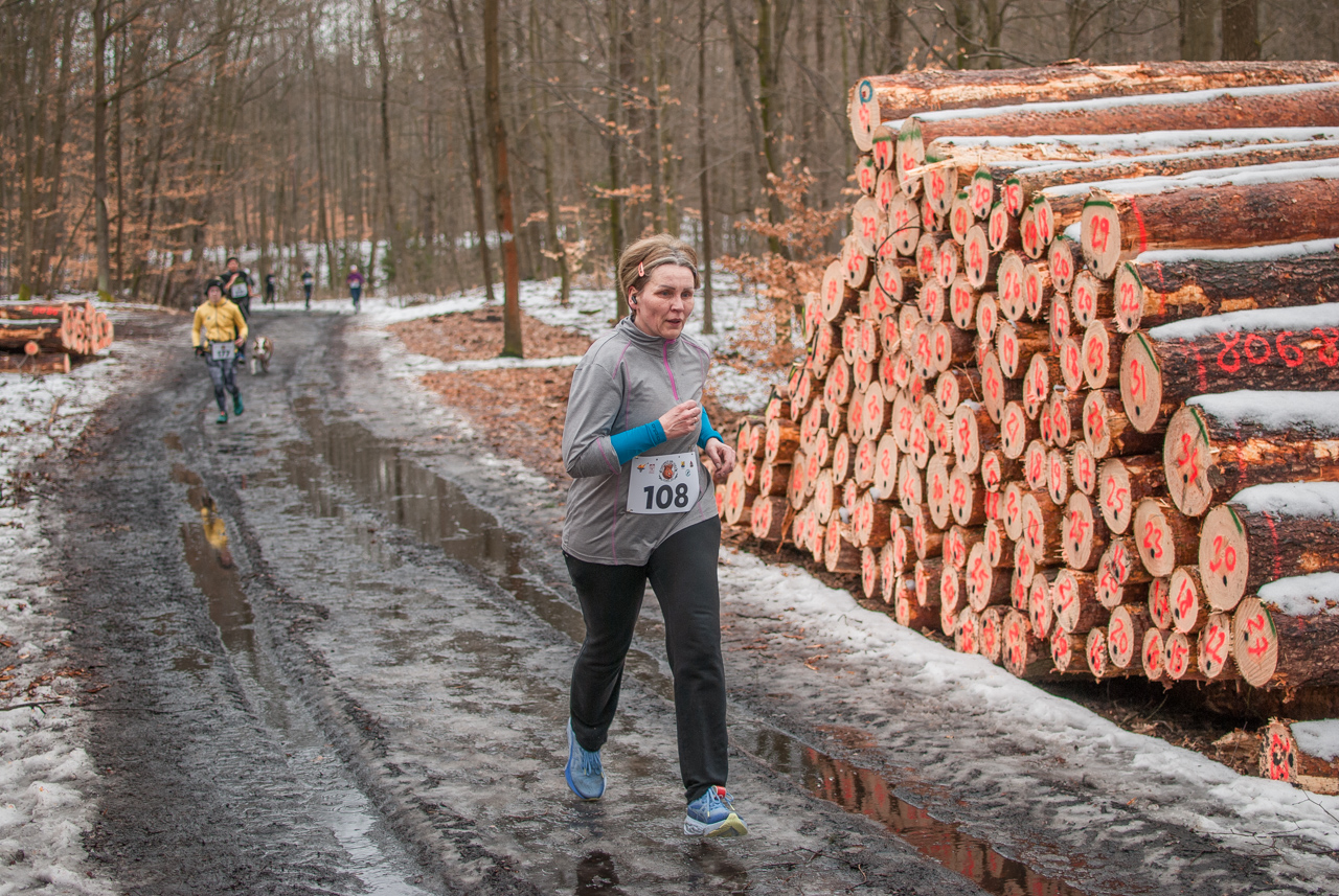 Bieg dzika luty 2026 mojekatowice (158)