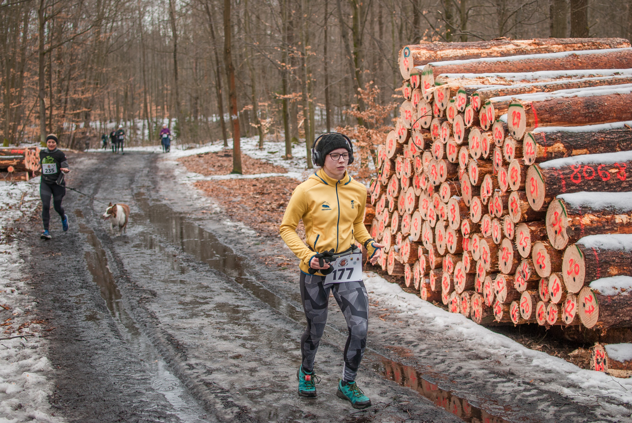 Bieg dzika luty 2026 mojekatowice (159)