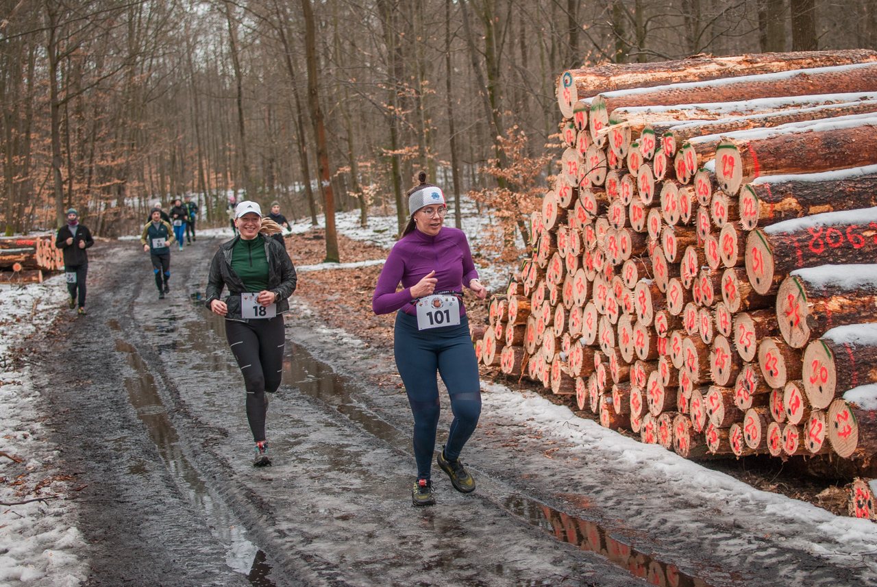 Bieg dzika luty 2026 mojekatowice (161)