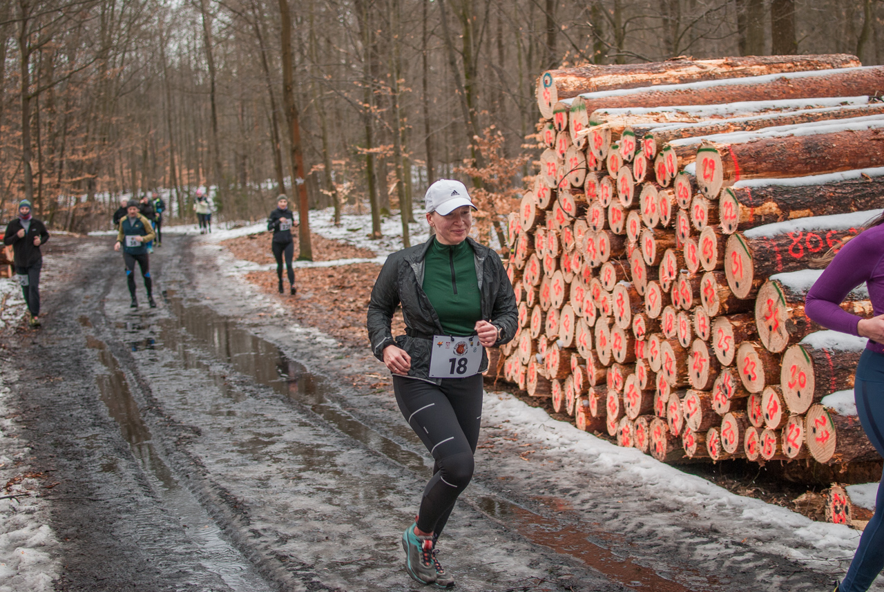 Bieg dzika luty 2026 mojekatowice (162)