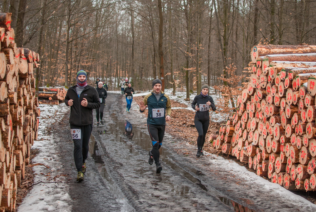 Bieg dzika luty 2026 mojekatowice (163)
