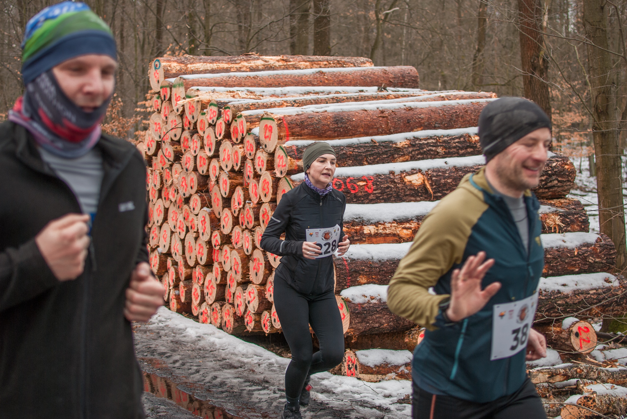 Bieg dzika luty 2026 mojekatowice (165)